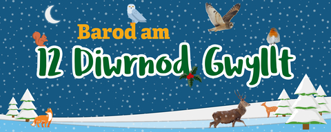 Banner for 12 Diwrnod Gwyllt