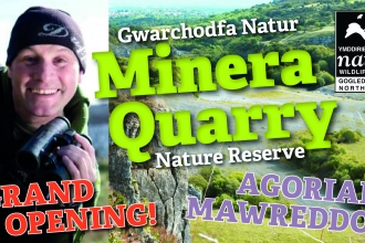 Minera Quarry nature reserve flyer