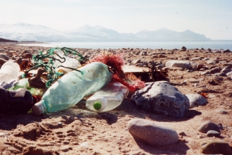 Plastic litter