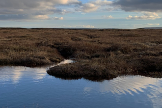 Fleet moss restoration - great north bog
