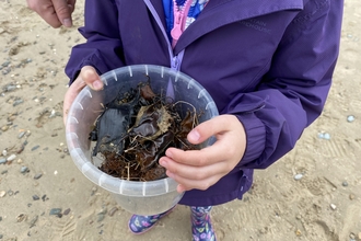A child stood on a sandy beach holds a clear plastic bucket. It contains a variety of shark egg cases or mermaid's purses.