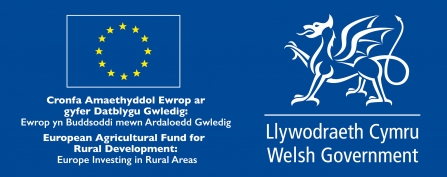 Welsh Government - SMS logo