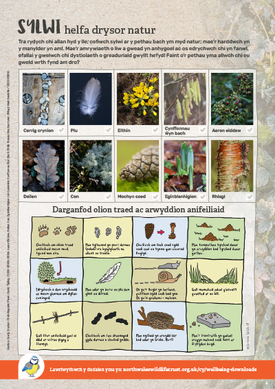 Nature treasure hunt and animal track and signs activity sheet 
