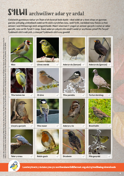 Neighbourhood bird explorer activity sheet