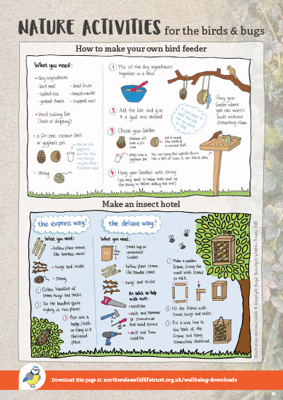 Make a bird feeder and insect hotel activity sheet