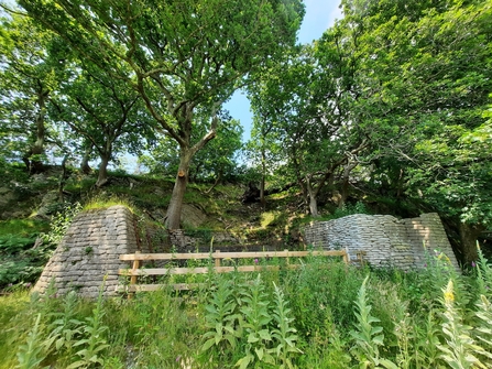 A stone brick structure with fencing that has been grown into by all kinds of vegetation. Set just in front of a small steep cliff with lots of trees growing from it. The sky behind is bright blue, and there is dappled light through the bright green leaves