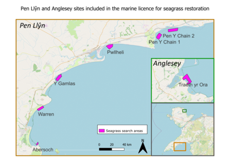 Seagrass Search Areas_February 2023