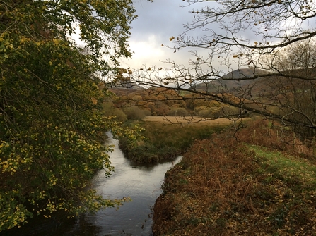 River in Wales © Alicia Leow-Dyke