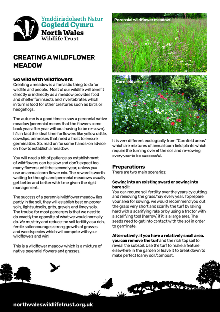 how to make your own wildflower meadow - instructions