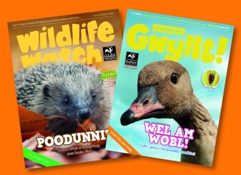 Wildlife Watch and Gwyllt! magazines