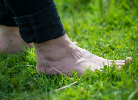 Toes in summer grass