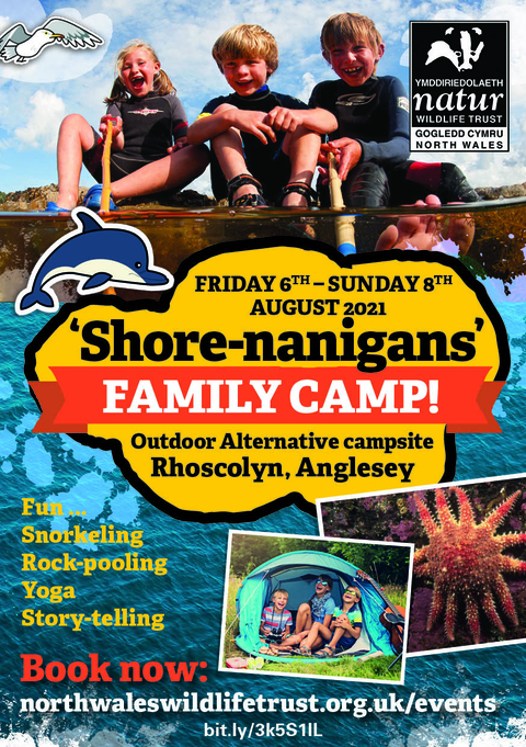 Shore-nanigans_flyer_English