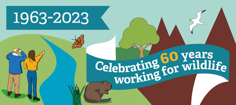 An illustrated image with stylised mountains, a river, people pointing, a butterfly, beaver, gannet, grass and a tree. Featuring banners with '1963 - 2023', and 'Celebrating 60 years working for wildlife'.60th anniversary_banner_English