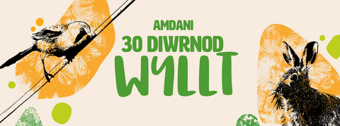 graphic image of bird on branch and a person in a striped top looking through binocular text that says 'It's time to go 30 Days Wild'