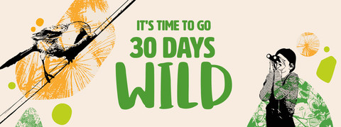 graphic image of bird on branch and a person in a striped top looking through binocular text that says 'It's time to go 30 Days Wild'