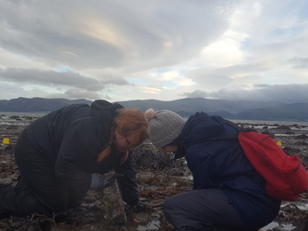 Shoresearch surveying Penmon area Oct 2021 ©NWWT