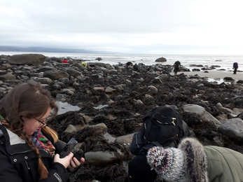 Shoresearch have-a-go Cricieth Feb22 - North Wales Wildlife Trust