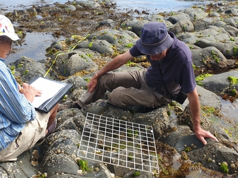 Shoresearch Porth Meudwy, July 2022 ©NWWT