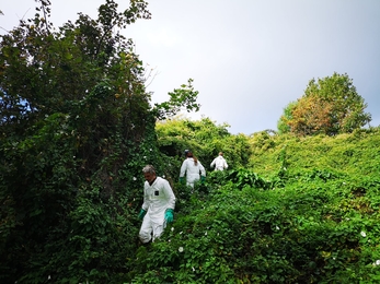 NWWT INNS staff working in partnership with the Clwydian Range & Dee Valley AONB Staff