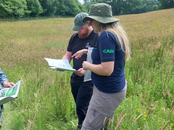 CABI Himalayan balsam rust fungus training