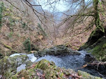 Waterfall with trees