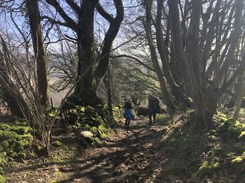 Two people walking through woods