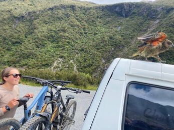 Rachel in NZ beside a bike, looking a a bird on top of a car