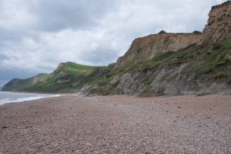 Maritime cliffs