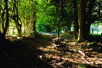 Aberduna Nature Reserve