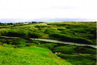 Greenacres Nature Reserve
