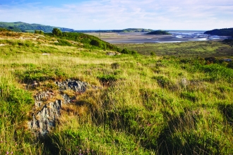 Gwaith Powdwr Nature Reserve