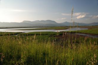 Traeth Glaslyn Nature Reserve