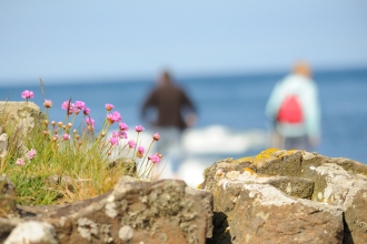 Exploring the coastline