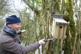 A man in warm winter clothing on the left, in the middle of hammering a nail on the bottom of a bird box to the right, to attach it to the tree. The bird box has a simple round hole in the front, weather proof roofing on the lid and a latch on the left side to hold the lid. The tree it is being attached to is no thicker than the box, and in a small group of other similar trees, all covered with mosses and other vegetation growing on them.