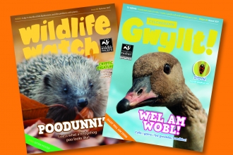 Wildlife Watch and Gwyllt! magazines