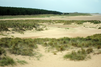 Sand dune beach