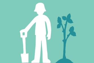 tree planting illustration