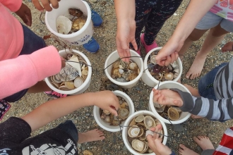 Buckets at the beach