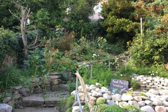 Llys Garth wildlife garden