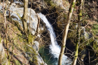 Abercorris Nature Reserve