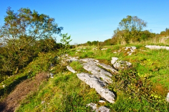 Aberduna Nature Reserve