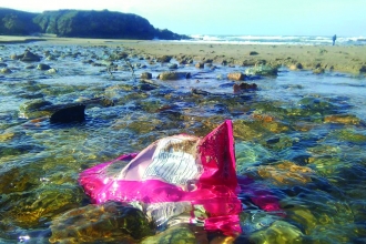 Marine litter_Dawn Thomas