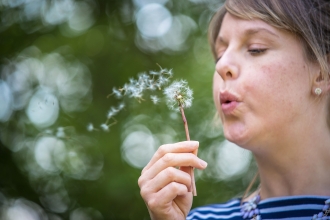 Dandelion