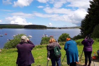 View from the NWWT Osprey Visitor hub at Llyn Brenig