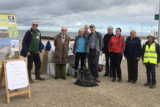 Beach Clean Volunteers