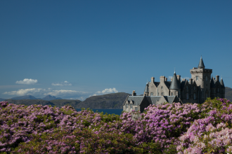 Invasive flowering plants, backdrop of mountains, a lake and a large house