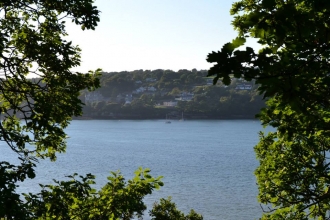 Menai Straits framed by trees