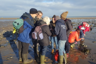 Survey Saturdays with NWWT Living Seas Wales
