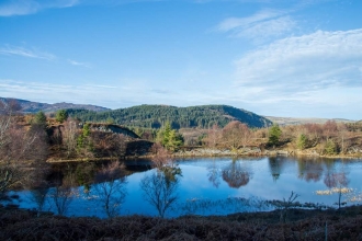 Cors Bodgynydd Nature Reserve