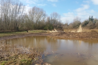 Marchwiel Marsh, Wrexham